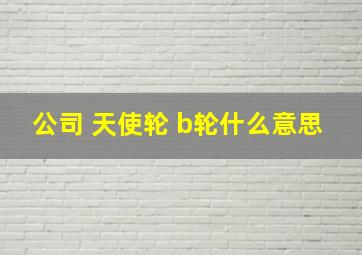 公司 天使轮 b轮什么意思